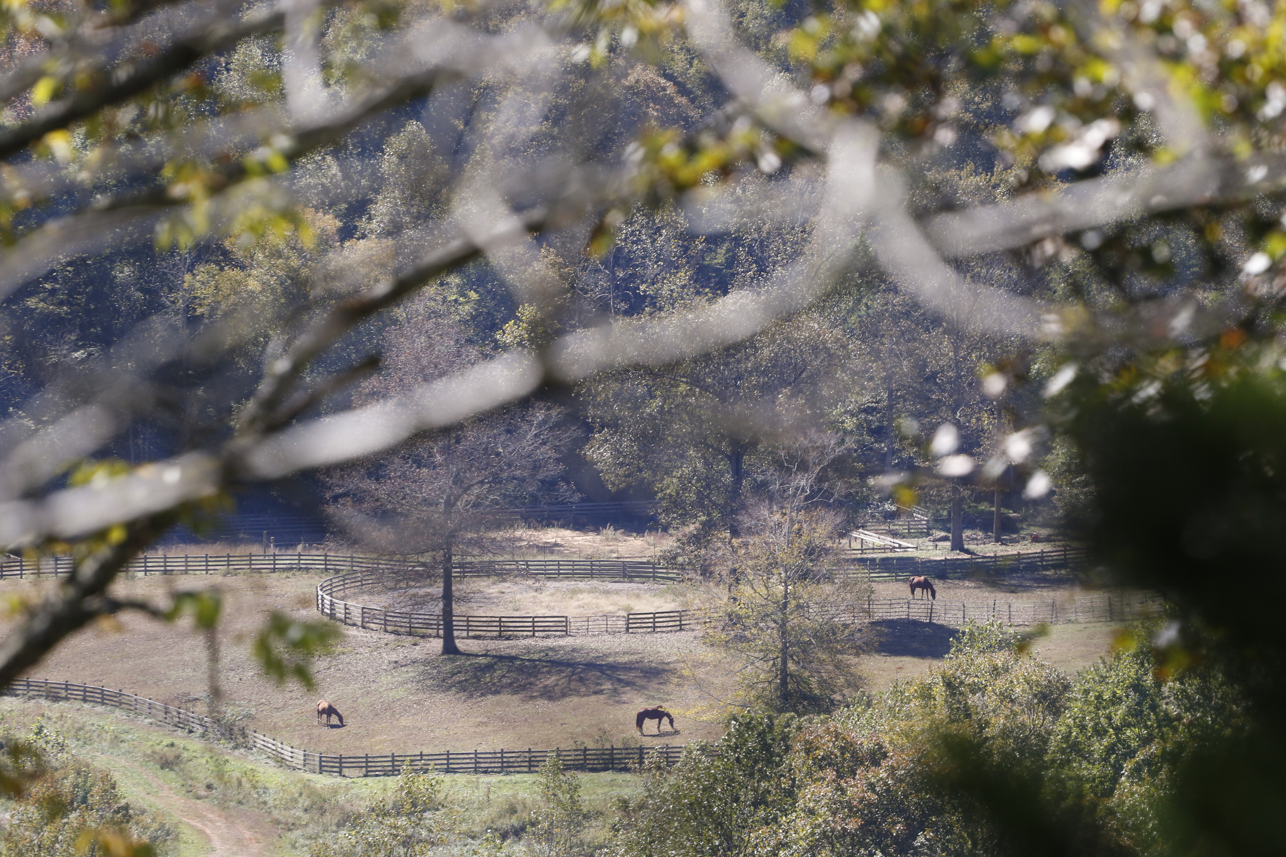 Staff Photo by Dan Henry / The Chattanooga Times Free Press- 10/19/15. The Johnson's Crook Valley near the Georgia-Alabama border in Rising Fawn, Ga., as seen on Monday, October 19, 2015. The Georgia-Alabama Land Trust and Southeastern Cave Conservancy, Inc., are partnering to create the largest cave preserve in Georgia consisting of 1,300 acres of land in the Johnson's Crook Valley.