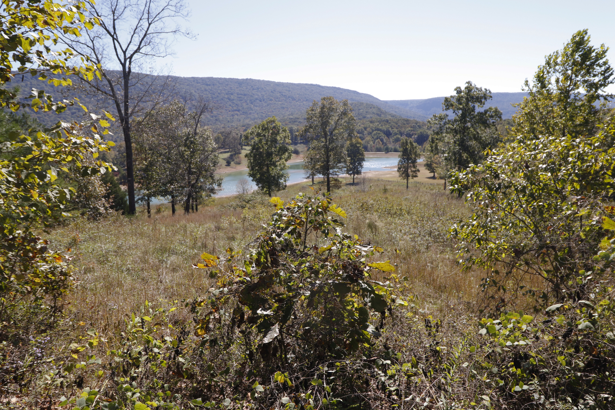 Staff Photo by Dan Henry / The Chattanooga Times Free Press- 10/19/15. The Johnson's Crook Valley near the Georgia-Alabama border in Rising Fawn, Ga., as seen on Monday, October 19, 2015. The Georgia-Alabama Land Trust and Southeastern Cave Conservancy, Inc., are partnering to create the largest cave preserve in Georgia consisting of 1,300 acres of land in the Johnson's Crook Valley.