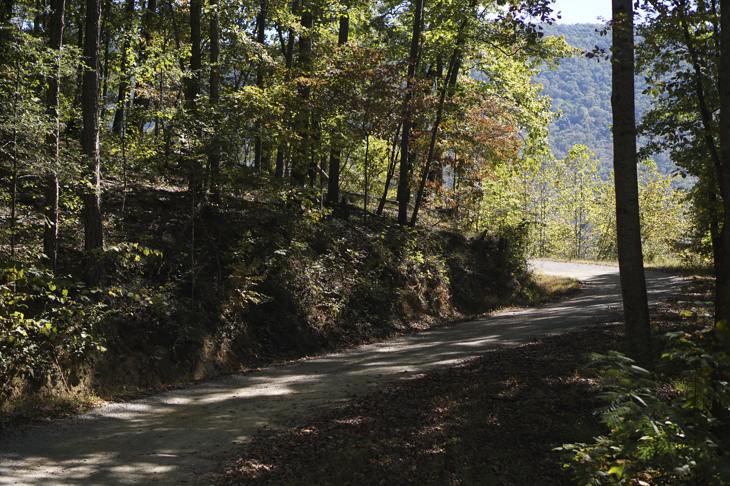Staff Photo by Dan Henry / The Chattanooga Times Free Press- 10/19/15. The Johnson's Crook Valley near the Georgia-Alabama border in Rising Fawn, Ga., as seen on Monday, October 19, 2015. The Georgia-Alabama Land Trust and Southeastern Cave Conservancy, Inc., are partnering to create the largest cave preserve in Georgia consisting of 1,300 acres of land in the Johnson's Crook Valley.
