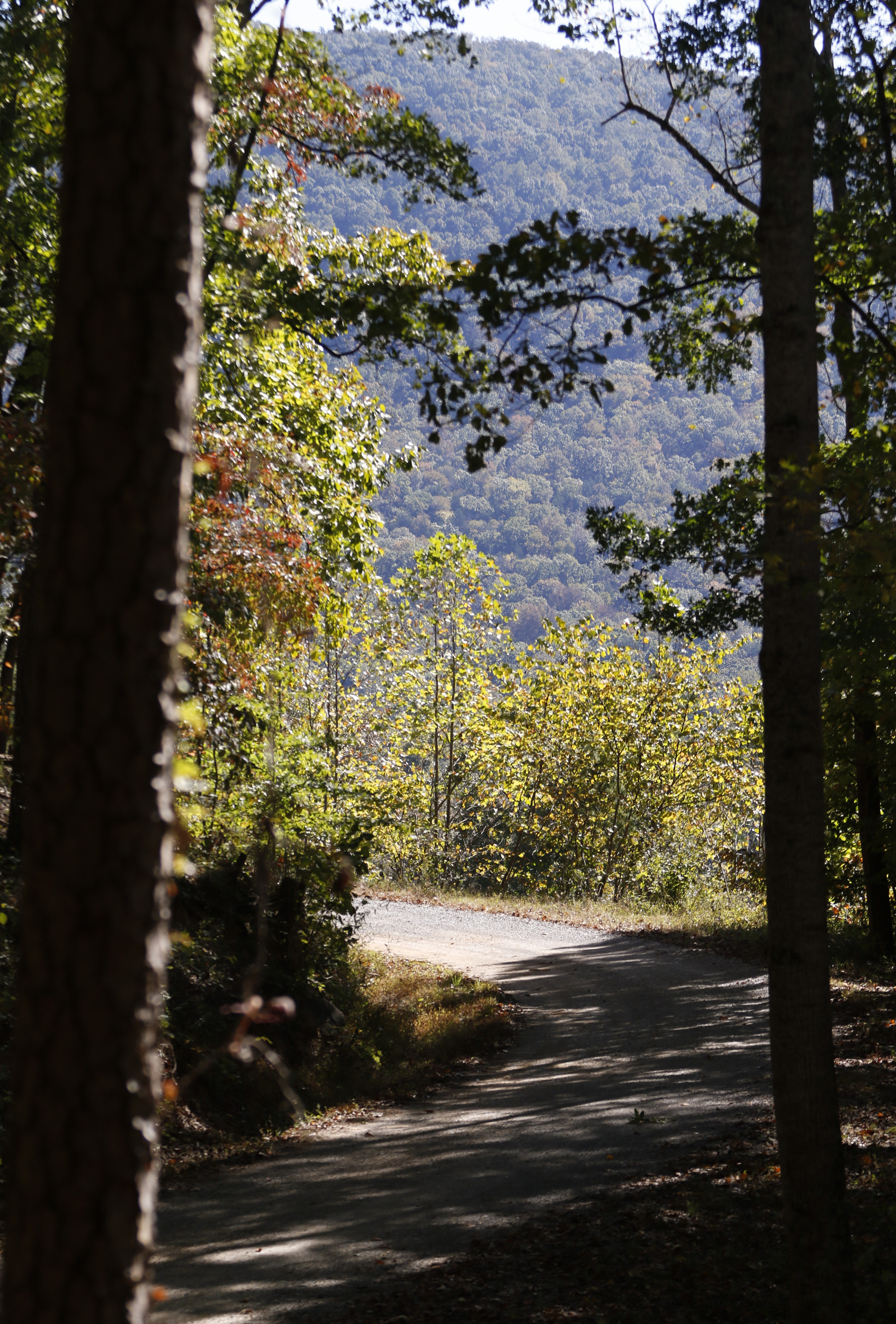 Staff Photo by Dan Henry / The Chattanooga Times Free Press- 10/19/15. The Johnson's Crook Valley near the Georgia-Alabama border in Rising Fawn, Ga., as seen on Monday, October 19, 2015. The Georgia-Alabama Land Trust and Southeastern Cave Conservancy, Inc., are partnering to create the largest cave preserve in Georgia consisting of 1,300 acres of land in the Johnson's Crook Valley.
