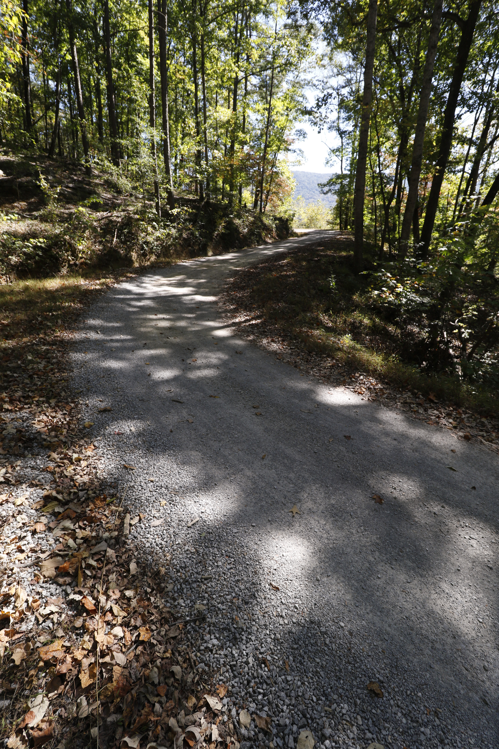 Staff Photo by Dan Henry / The Chattanooga Times Free Press- 10/19/15. The Johnson's Crook Valley near the Georgia-Alabama border in Rising Fawn, Ga., as seen on Monday, October 19, 2015. The Georgia-Alabama Land Trust and Southeastern Cave Conservancy, Inc., are partnering to create the largest cave preserve in Georgia consisting of 1,300 acres of land in the Johnson's Crook Valley.