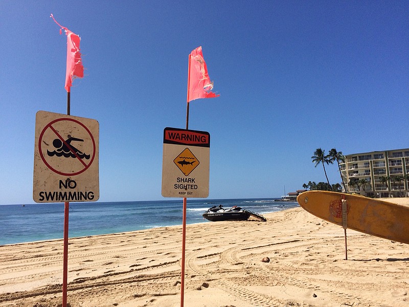 Signs warning of a shark sighting are posted at Makaha Beach Park in Waianae, Hawaii, Thursday, Oct. 29, 2015. A 10-year-old boy was bitten by a shark at the Oahu beach on Wednesday. 