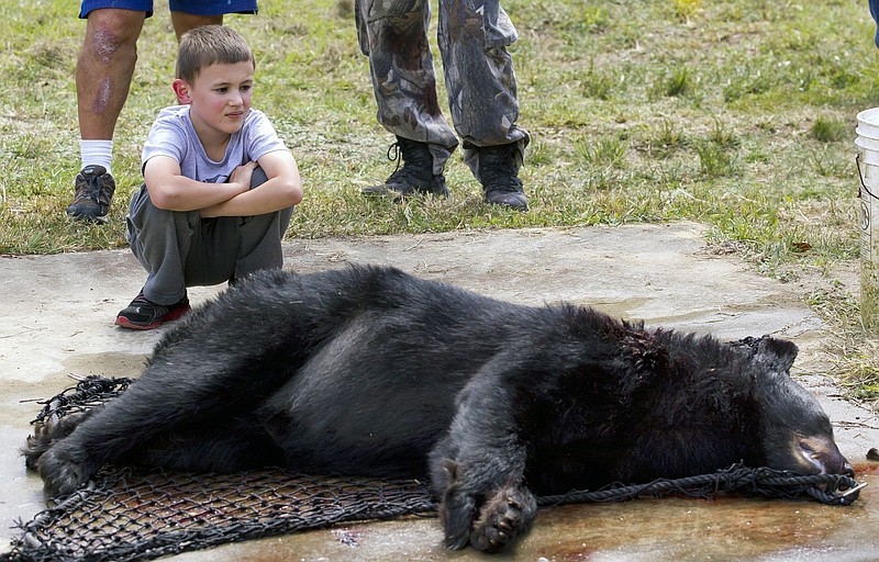 In this file photo, Aiden Everetts kneels next a black bear, which his father James Everetts killed.