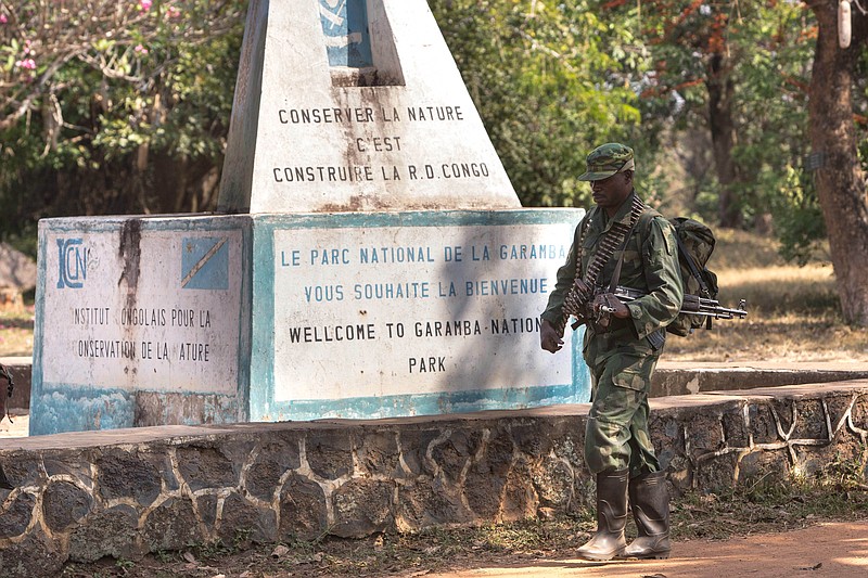 
              In this photo taken Dec. 29, 2014 and supplied by African Parks, an armed elite rapid response team member patrols at the entrance to the Garamba National Park. Congo. A shootout last month, in which three rangers and a Congolese army colonel were killed, highlighted the challenge of protecting parks in a part of Africa plagued for decades by insurgencies, civil war, refugee flows and weak governments. It shows how some conservation efforts resemble a kind of guerrilla warfare in which rangers and soldiers stalk, and are stalked by, poachers who are slaughtering elephants and other wildlife  (Andrew Brukman/African Parks via AP)
            