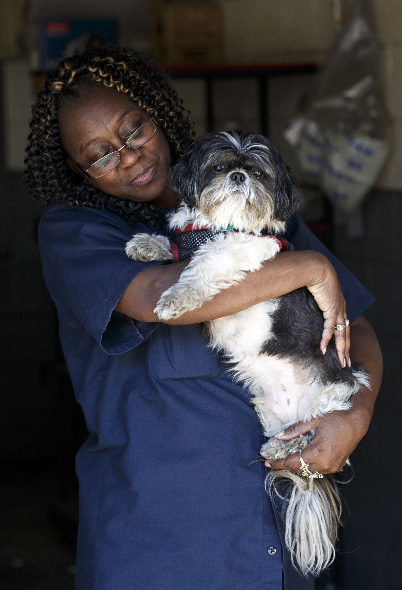 Stephanie Keith holds the shop dog, Moe, at Market Street Tire & Auto on Wednesday, Nov. 11, 2015, in Chattanooga, Tenn. The business is preparing to close for 6-8 weeks before returning as a corporate Firestone Tire location.