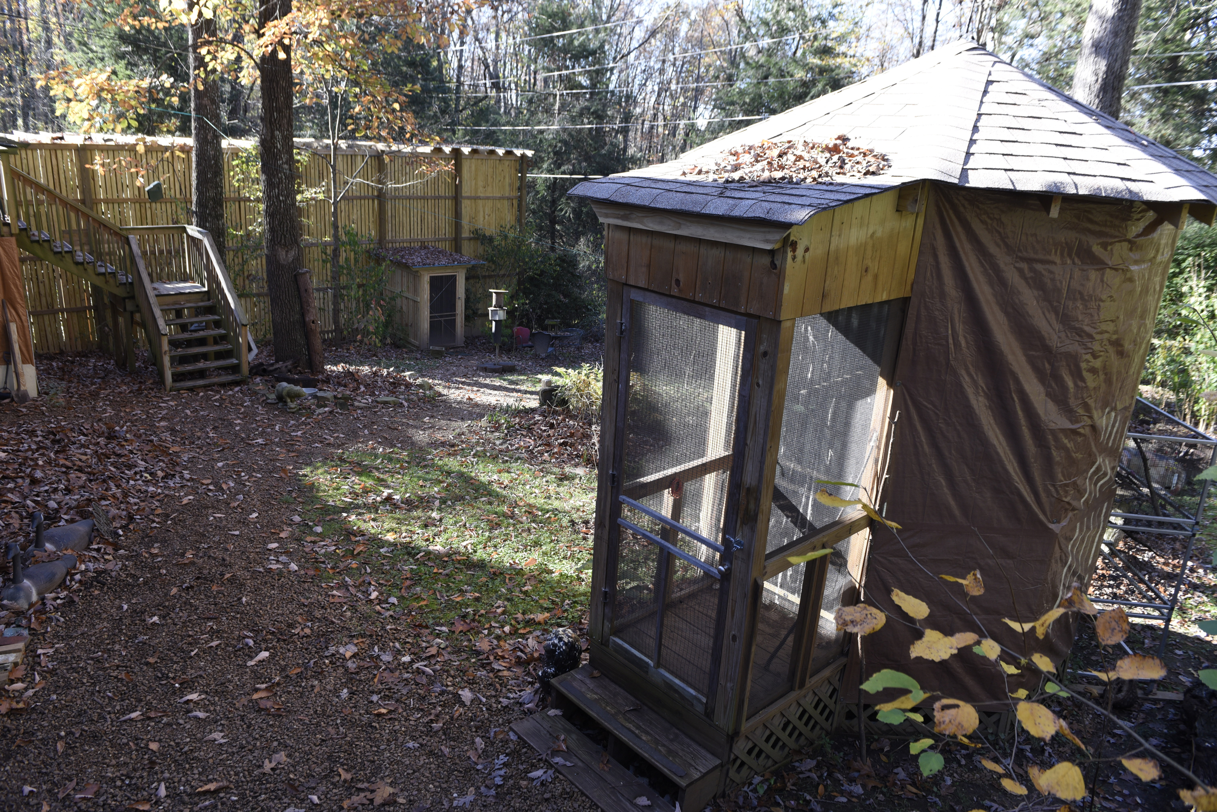Enclosures for recuperating injured raptors are seen in the back yard at the home of Alix Parks at Happinest Wildlife Rescue on Tuesday, Nov. 10, 2015, in the town of Signal Mountain, Tenn.