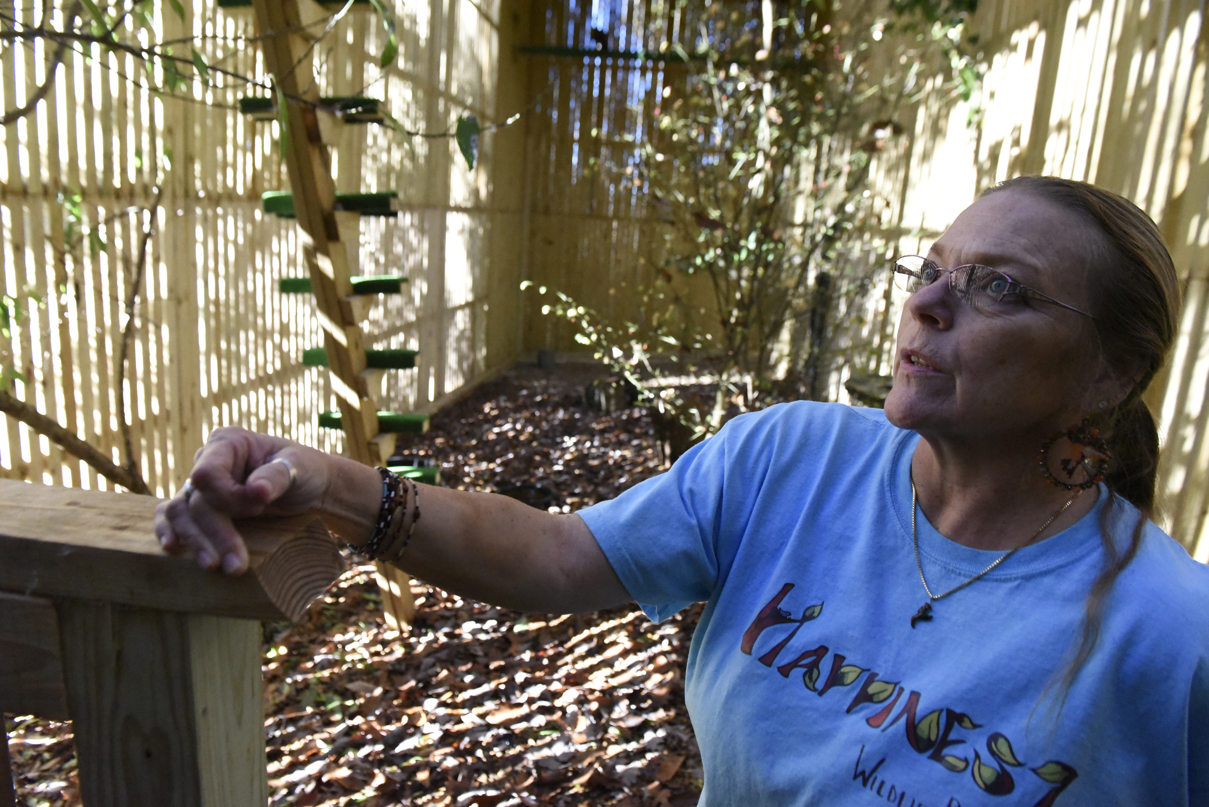 Alix Parks is photographed inside one of the large enclosures in her back yard at Happinest Wildlife Rescue on Tuesday, Nov. 10, 2015, in the town of Signal Mountain, Tenn. This enclosure is for birds who have regained their ability to fly and are nearing release back into the wild.