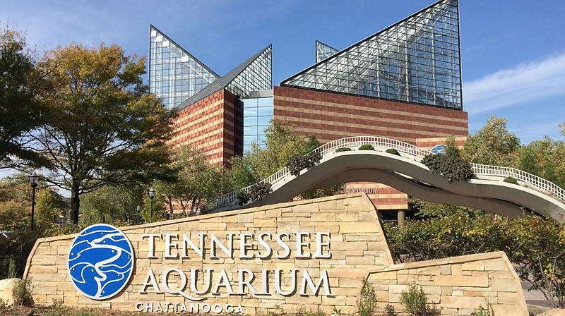 Tennessee Aquarium in Chattanooga tile