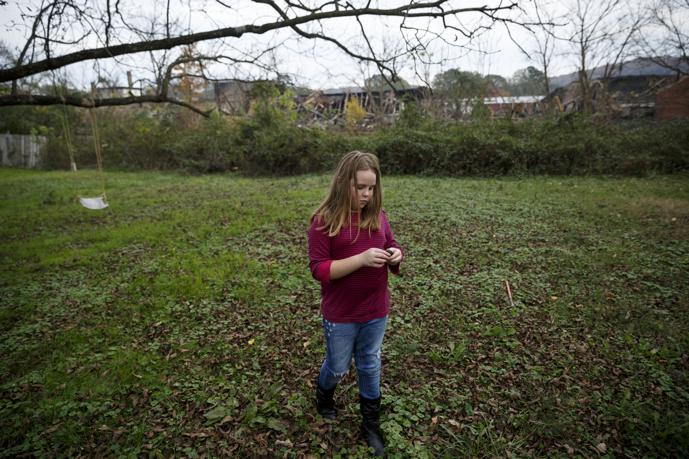 The ruins of the Barwick Mills building are seen in the background as Zoey Stackpole collects walnuts in the back yard of their home on South Chattanooga Street on Tuesday, Nov. 17, 2015, three days after a fire destroyed much of the Barwick Mills building in Lafayette, Ga. The EPA has been taking air samples to assess the impact of the fire.