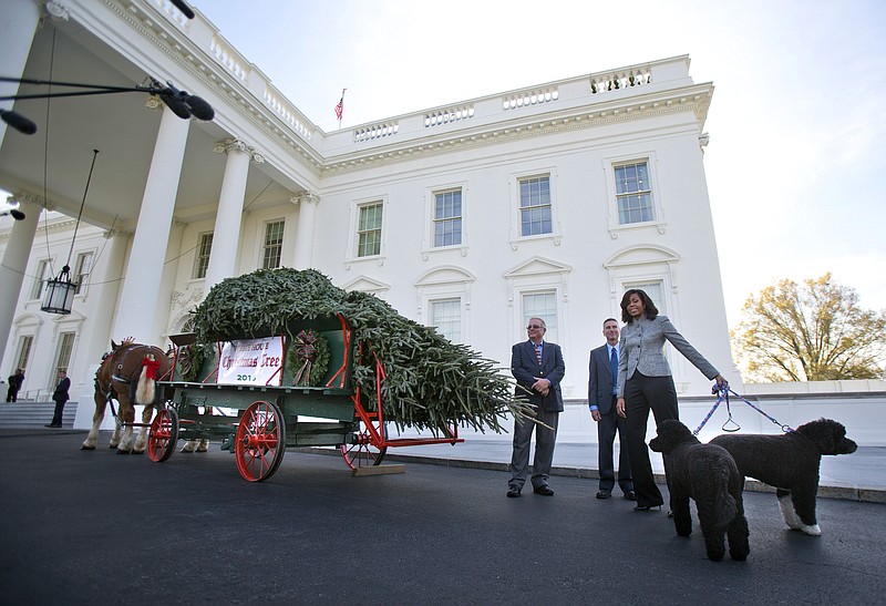 
              First lady Michelle Obama with her dogs Bo and Sunny, welcomes the Official White House Christmas Tree to the White House in Washington, Friday, Nov. 27, 2015. This year's White House Christmas tree, which will be on display in the Blue Room, was presented by Jay Bustard, left, and his brother Glenn Bustard, center, from Bustard's Christmas Trees in Lansdale, PA. (AP Photo/Pablo Martinez Monsivais)
            