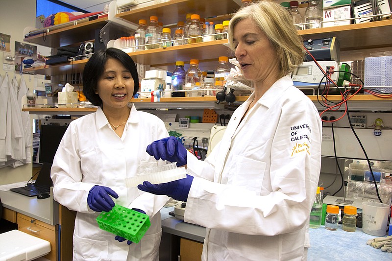 
              In this photo provided by UC Berkeley Public Affairs, taken June 20, 2014, Jennifer Doudna, right, and her lab manager, Kai Hong, work in her laboratory in Berkeley, Calif. Designer babies or an end to intractable illnesses: A revolutionary technology is letting scientists learn to rewrite the genetic code, aiming to alter DNA in ways that, among other things, could erase disease-causing genes. How far should these experiments try to go _ fix only the sick, or make changes that future generations could inherit? (Cailey Cotner/UC Berkeley via AP)
            