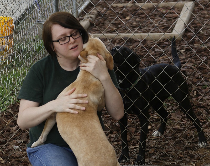 Amanda Steed, an adoptions councilor at McKamey Animal Center, gives Chloe some attention on Tuesday, Nov. 24, 2015.