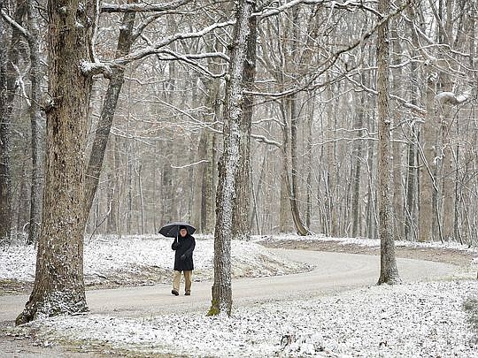 James Engell, from Boston, uses an umbrella to keep the snow flurries away as he takes a morning walk on Green's View Road in Sewanee. "To me this isn't much of a snow. Kind of looks like Spring" Engell said. It was 27 degrees at that time in the morning. Sunday Jan. 10, 2016, in Sewanee, Tenn.