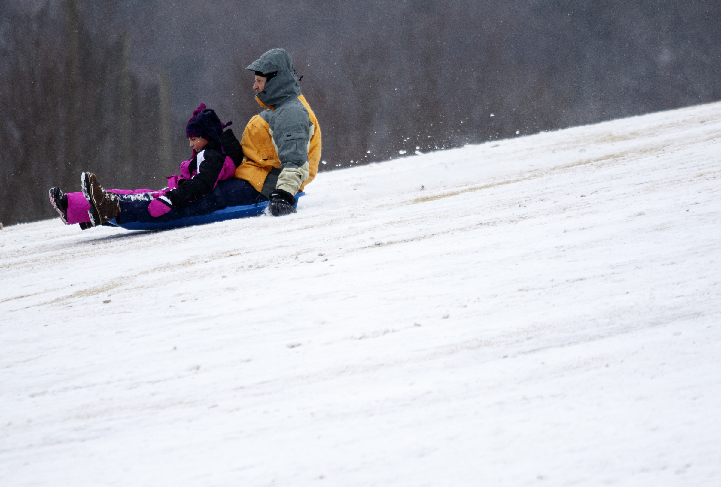 Roman Bielcik, right, and his daughter Ellie sled on a fairway of the Signal Mountain Golf and Country Club after winter storm Jonas swept across the Eastern United States on Saturday, January 23, 2016, in Signal Mountain, Tenn. While much of the East Coast received heavy snowfall, the Tennessee Valley was less effected.