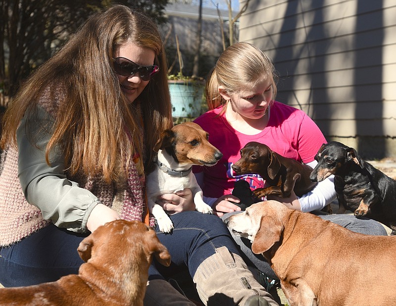 Paige, left, and Ava Wright are surrounded by their dogs, Dotty, Dox, Cinnamon, Ottie and Murphy, clockwise from left, Friday, January 29, 2016 at their Brainerd home.