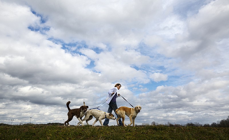 Kathleen Locker walks her dogs on the South Chickamauga Creek Greenway on Sunday, Jan. 31, 2016, in Chattanooga, Tenn. Several new sections of the greenway will be completed in the coming year, linking East Ridge and St. Elmo with the Tennessee Riverwalk.