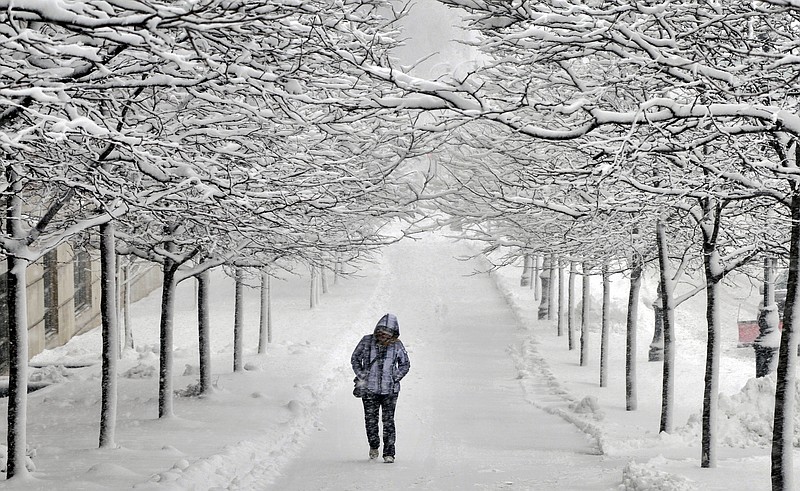 
              A pedestrian walks between rows of snow-covered trees on Martin Luther King Jr. Blvd. in Worcester, Mass. during a snowstorm on Friday, Feb. 5, 2016. (Paul Kapteyn/Worcester Telegram & Gazette via AP)
            