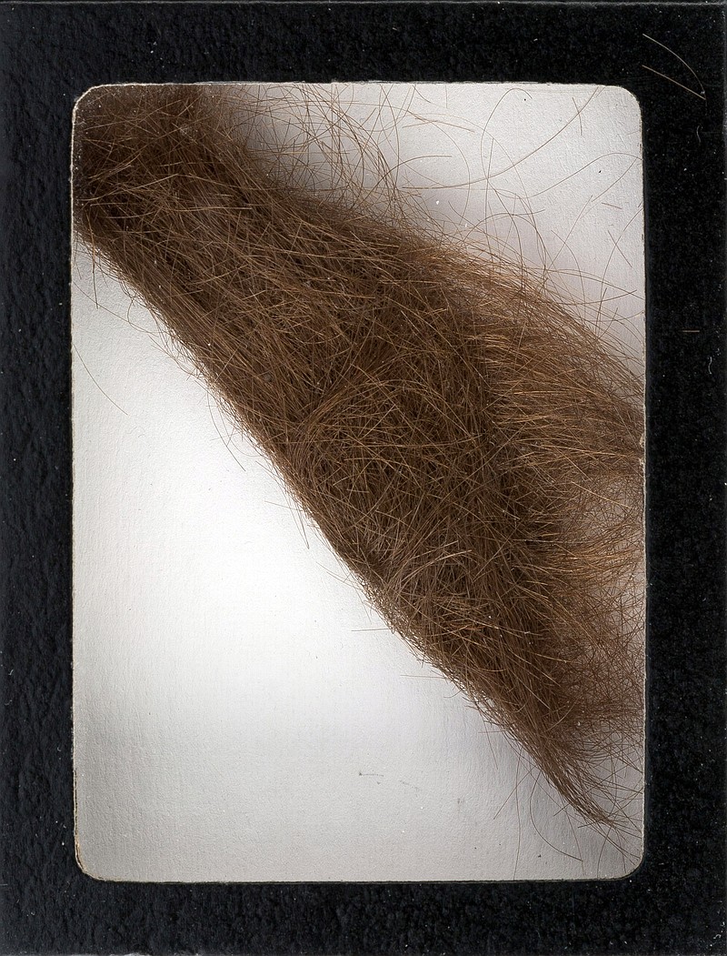 
              This photo provided by Heritage Auctions shows a 4-inch lock of hair that was collected by a German hairdresser who trimmed John Lennon's hair before he started shooting "How I Won the War." Heritage Auctions says the lock of hair is expected to sell for $10,000 at a Dallas auction later this month. (Heritage Auctions via AP)
            
