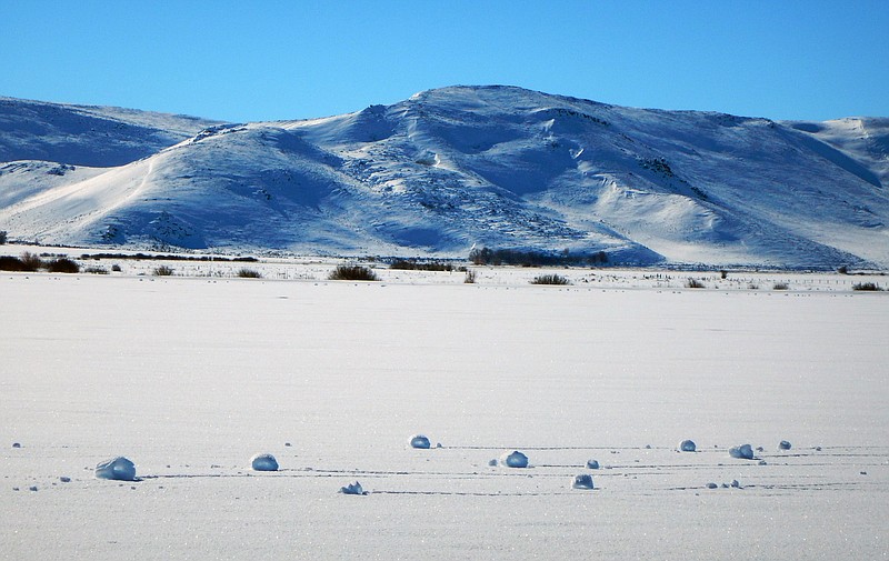 
              This Jan. 30, 2016 photo provided by The Nature Conservancy shows a rare weather event that caused the spontaneous snowballs at The Nature Conservancy’s Silver Creek Preserve and surrounding fields near the tiny town of Picabo, Idaho. The National Weather Service says snow rollers are caused by an unusual combination of snowfall around a couple inches with the right water density and temperatures near freezing followed by strong winds. (Sunny Healey/The Nature Conservancy via AP)
            