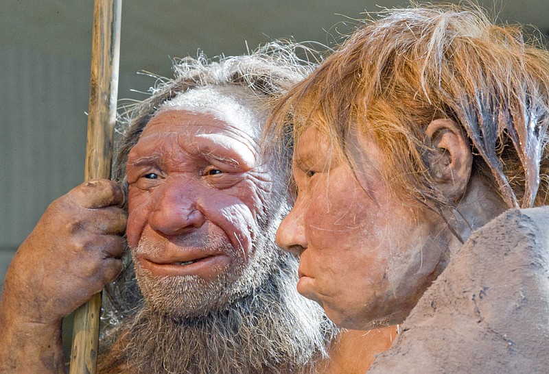 
              FILE - This Friday, March 20, 2009 file photo shows reconstructions of a Neanderthal man, left, and woman at the Neanderthal museum in Mettmann, Germany. A new study released by the journal Science on Thursday, Feb. 1, 2016 says a person’s risk of becoming depressed or hooked on smoking may be influenced by DNA inherited from Neanderthals. (AP Photo/Martin Meissner)
            