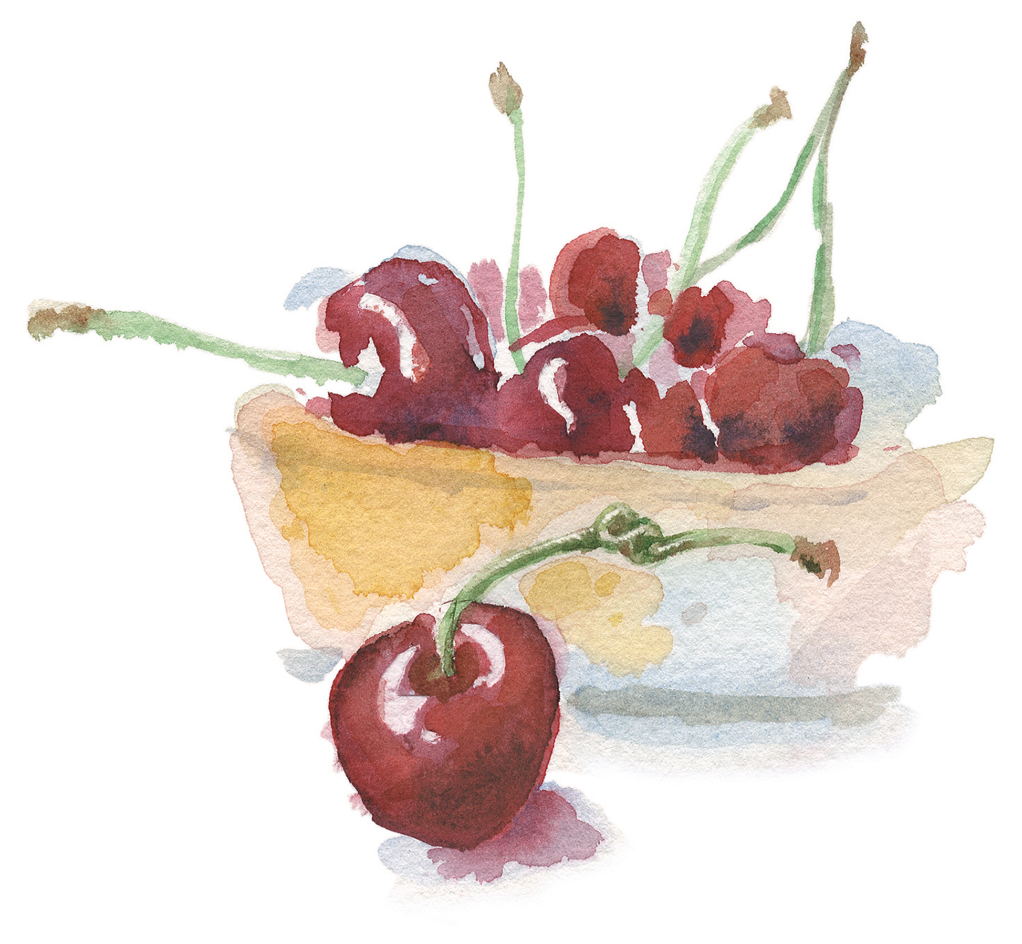 Cherry illustration