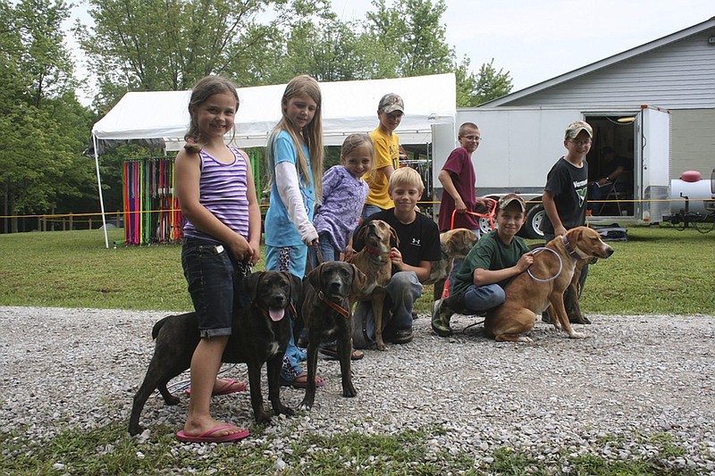 Looking for a dog that will hunt and be great with your kids? You might consider a cur or feist, writes outdoors columnist Larry Case.