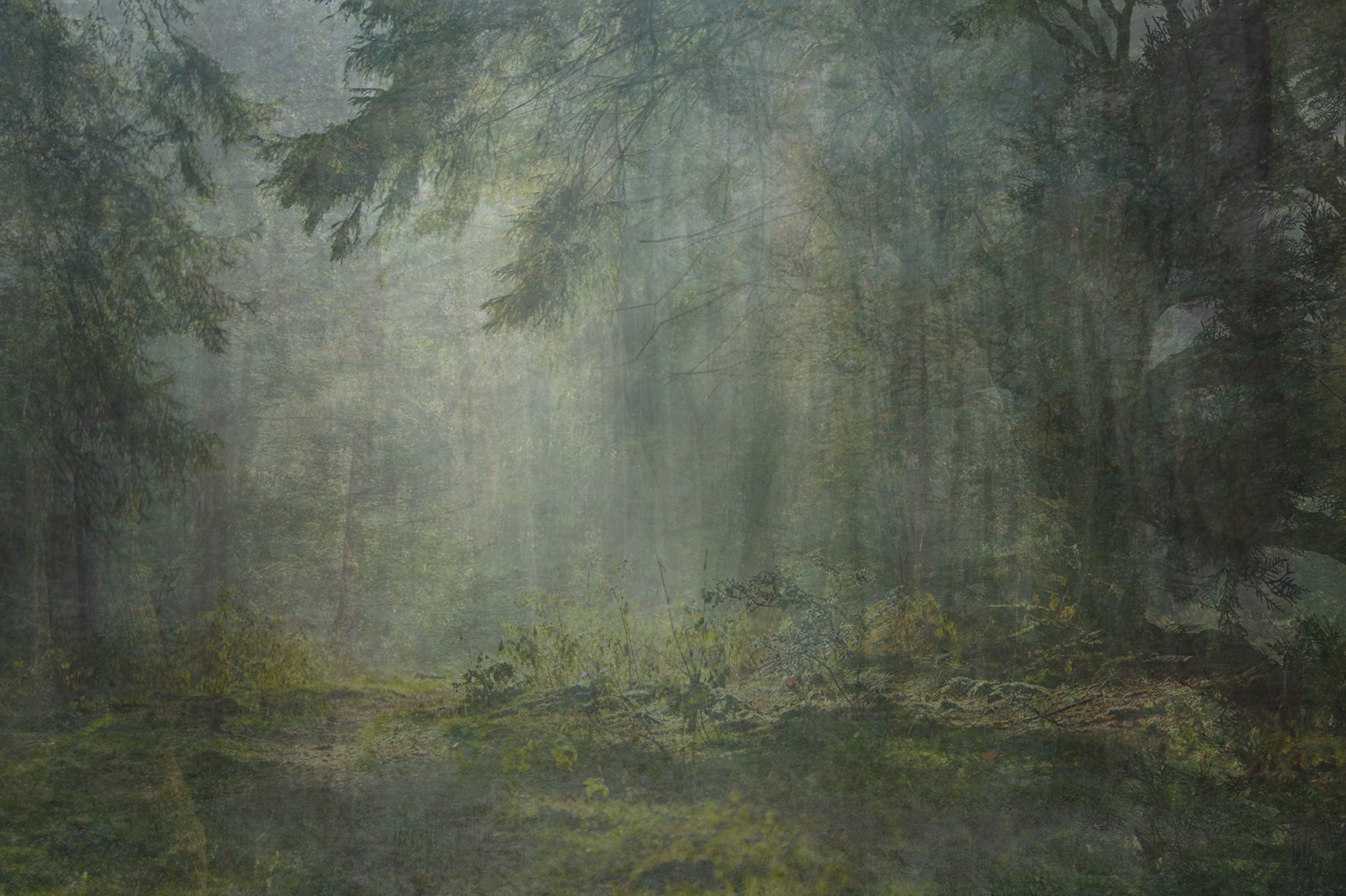 "Nine Years out of a Death Row Sentence (Forest)." A pen pal of Elkins who was 13 years into his death row sentence describes a childhood memory of taking refuge in the forest throughout his youth. This image was constructed out of appropriated images and composited to account for the amount of years spent in prison. [Amy Elkins.]