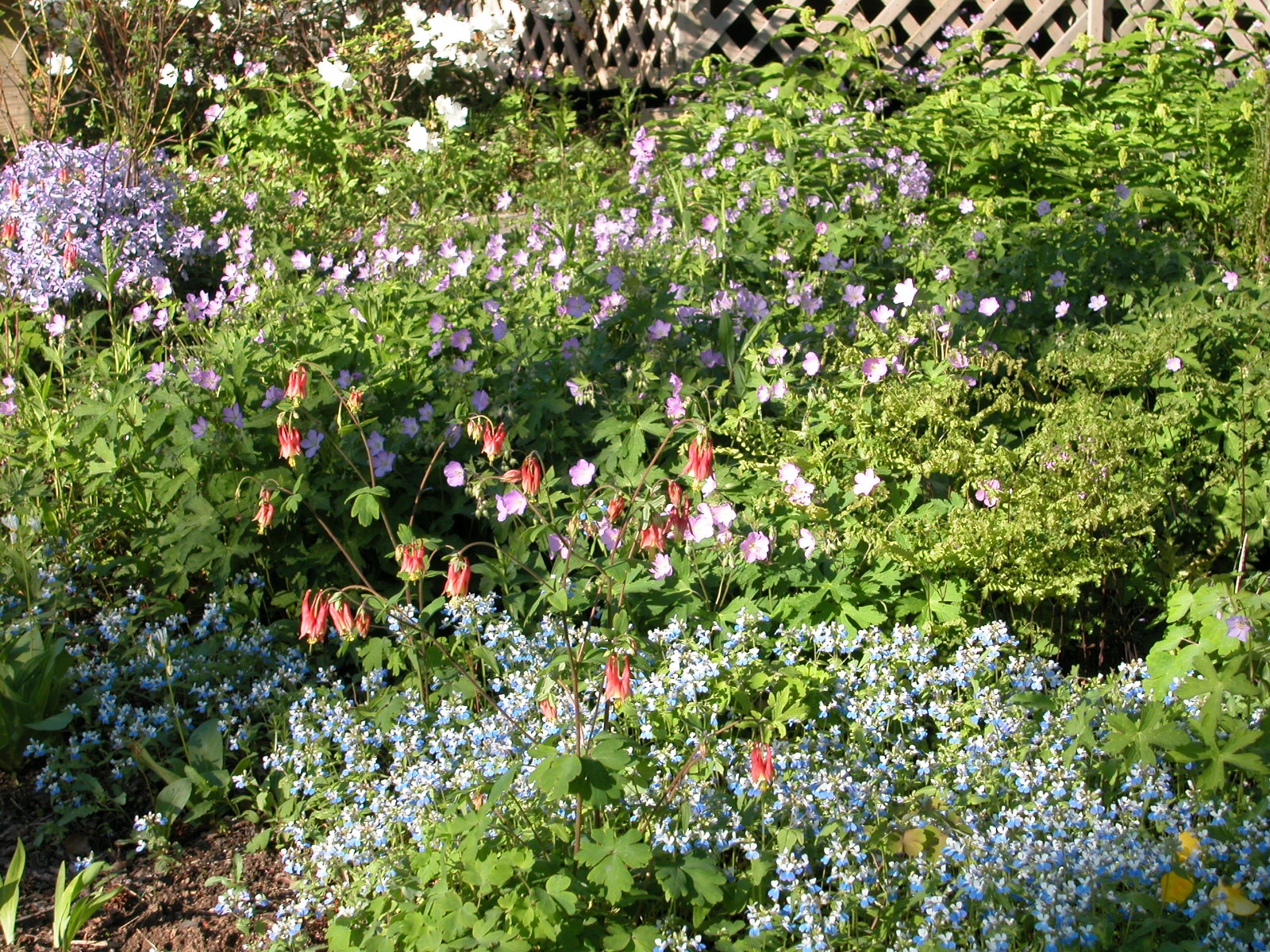 The Tennessee Valley chapter of Wild Ones is hosting its annual symposium on landscaping with native plants on March 5. This year's theme is Celebrating the Southeast's Bounty.