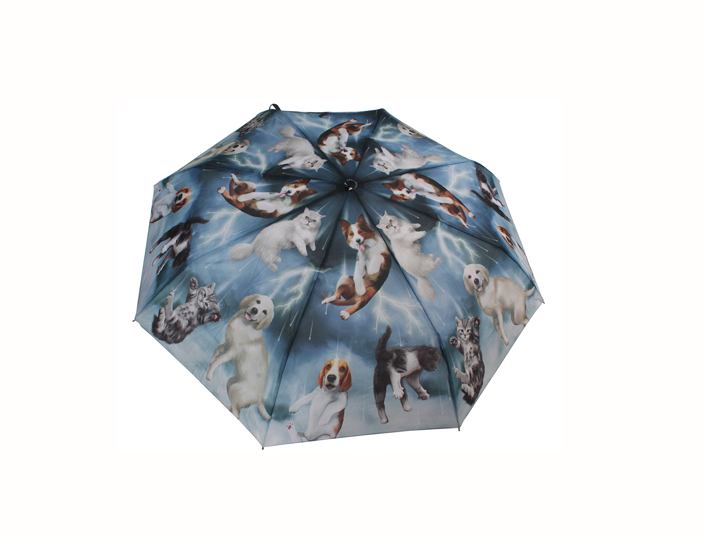 Available at Blue Skies30 Frazier Ave. 423-266-8010Prepare for all those dreary, drizzly mornings with this charming little umbrella. Besides, no one ever said something practical can't also be fun! Its humor is certain to brighten even the cloudiest of days. $28.95