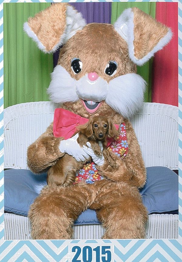 Easter Bunny begins his rounds at Hamilton Place Chattanooga Times