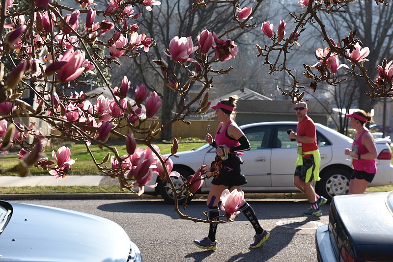 Runners on Alabama Avenue in St. Elmo pass blooming trees as they participate in the first running of the Chattanooga Marathon on Sunday, Mar. 6, 2016, in Chattanooga, Tenn. 