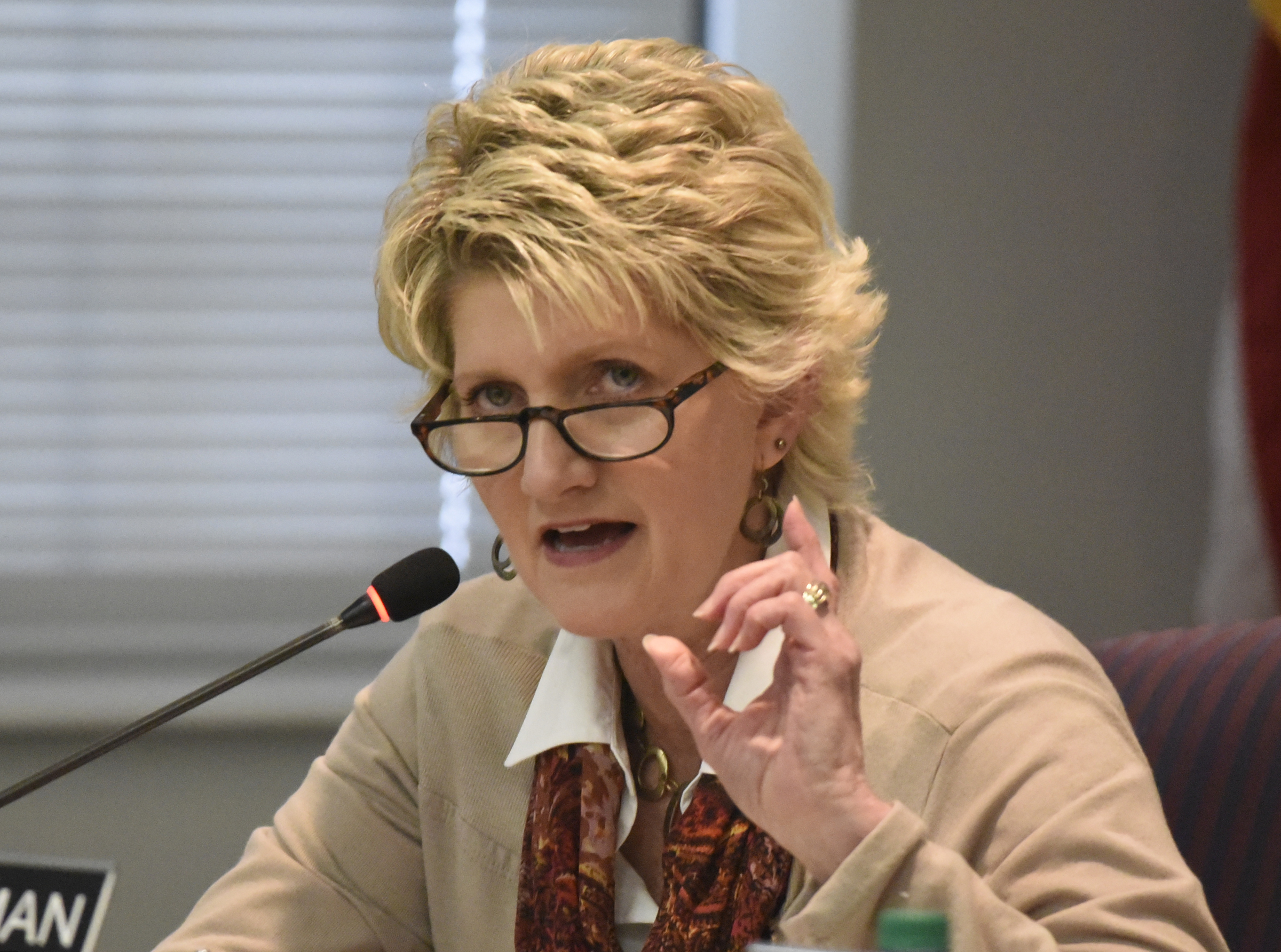 Board member Rhonda Thurman speaks during the meeting of the Hamilton County School Board on Monday, Mar. 7, 2016, in Chattanooga, Tenn. The board declined to take action, leaving Rick Smith in place as superintendent.
