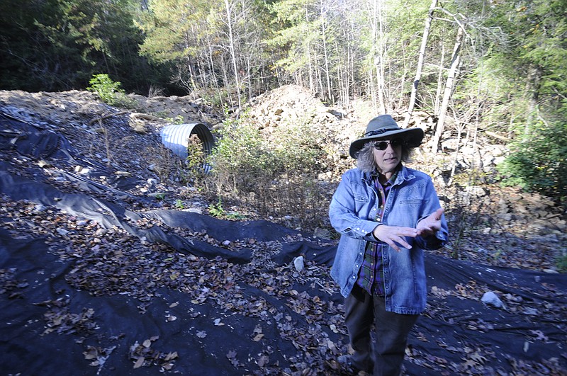 In this November 2014 photo, Walker County resident Jill Wyse stands atop covered riprap and talks about how the county has disregarded EPD rules as they go forward with a trail over Rock Creek, just over a mile upstream of her land.