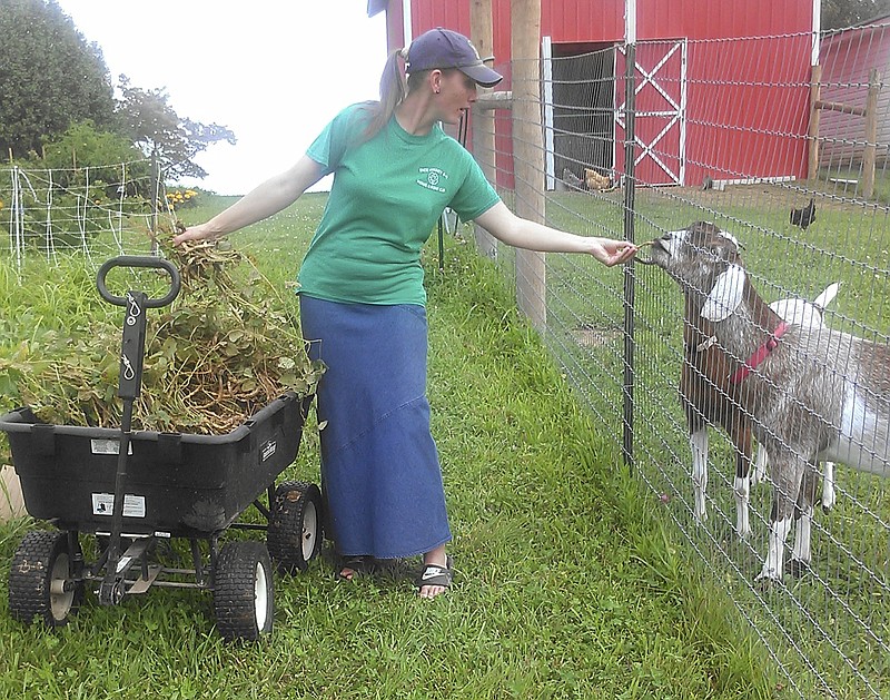 Patara Marlow, one of the hosts of the Greater Appalachian Homesteading Conference, feeds one of the goats on the farm that she and her husband, James, own in Crossville, Tenn.