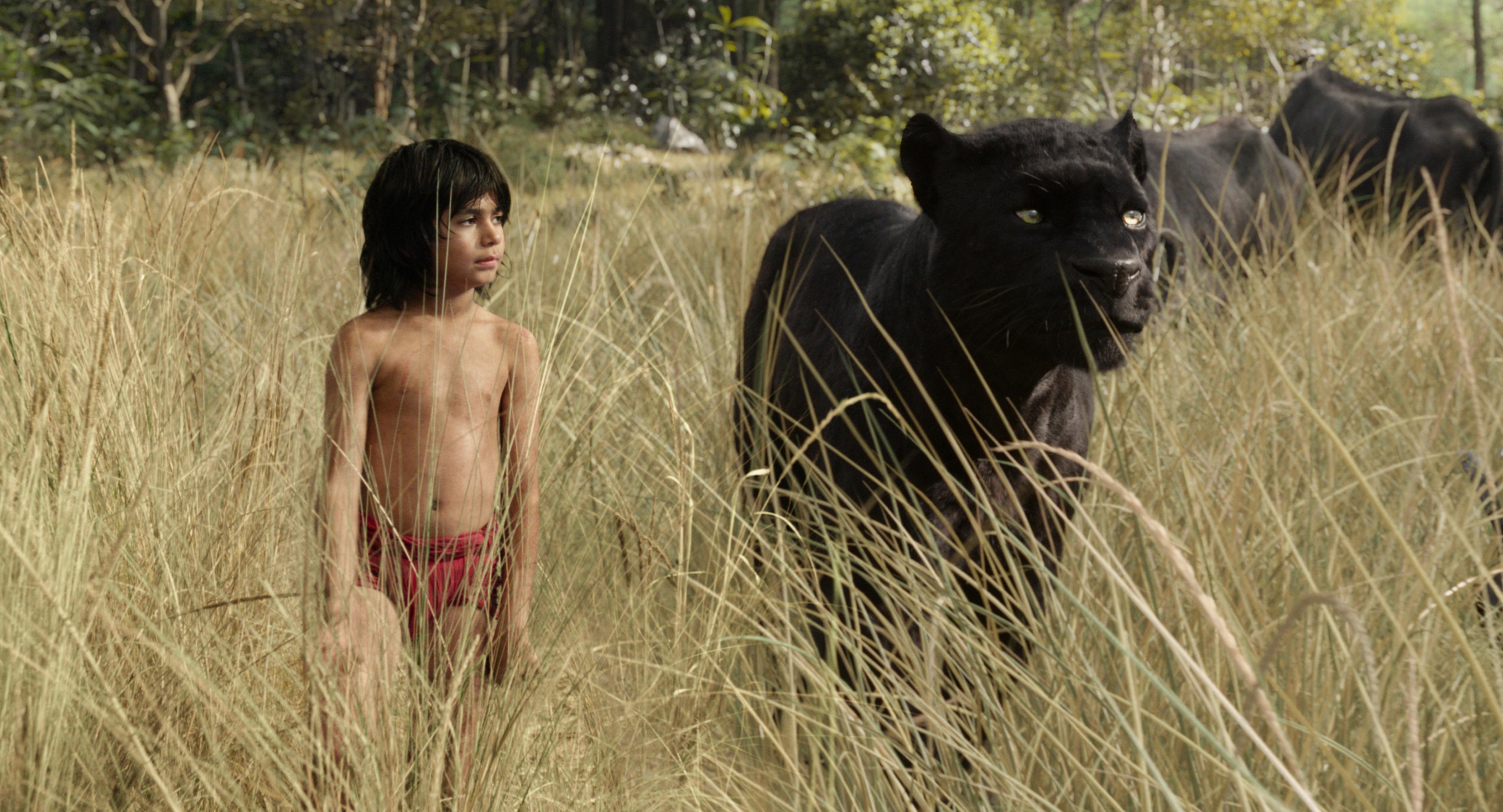 Mowgli (Neel Sethi) and Bagheera (voiced by Ben Kingsley) appear in the upcoming live-action feature "The Jungle Book." The film, like previous "Jungle Book" films, is based on stories written by Rudyard Kipling and published together in 1894. The novel is in the public domain and can be freely used to create other works.