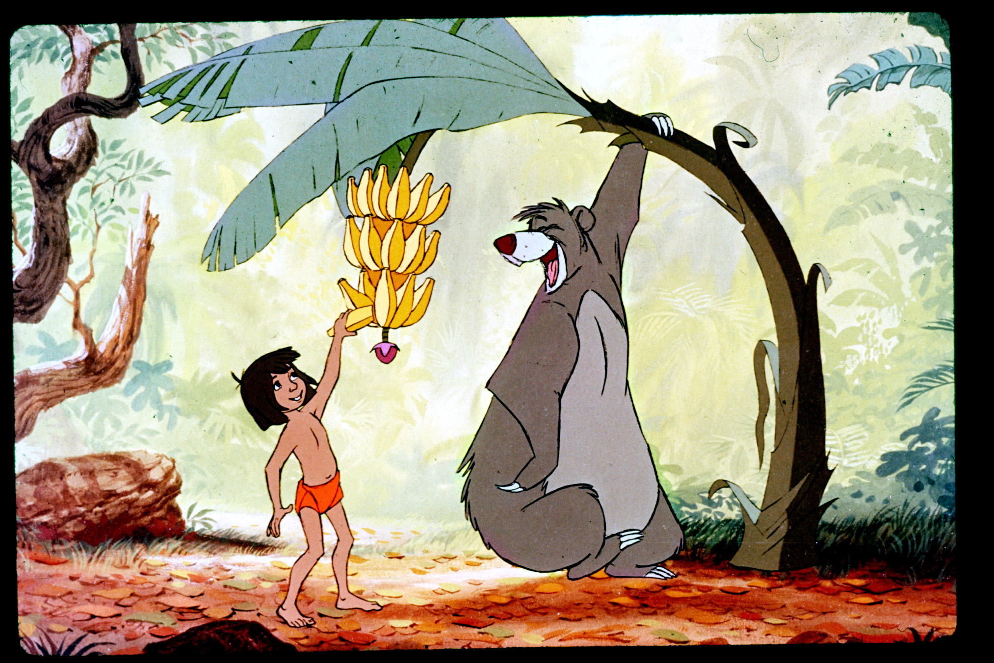 Mowgli and Baloo sing and dance in a scene set during Disney's 1967 animated feature