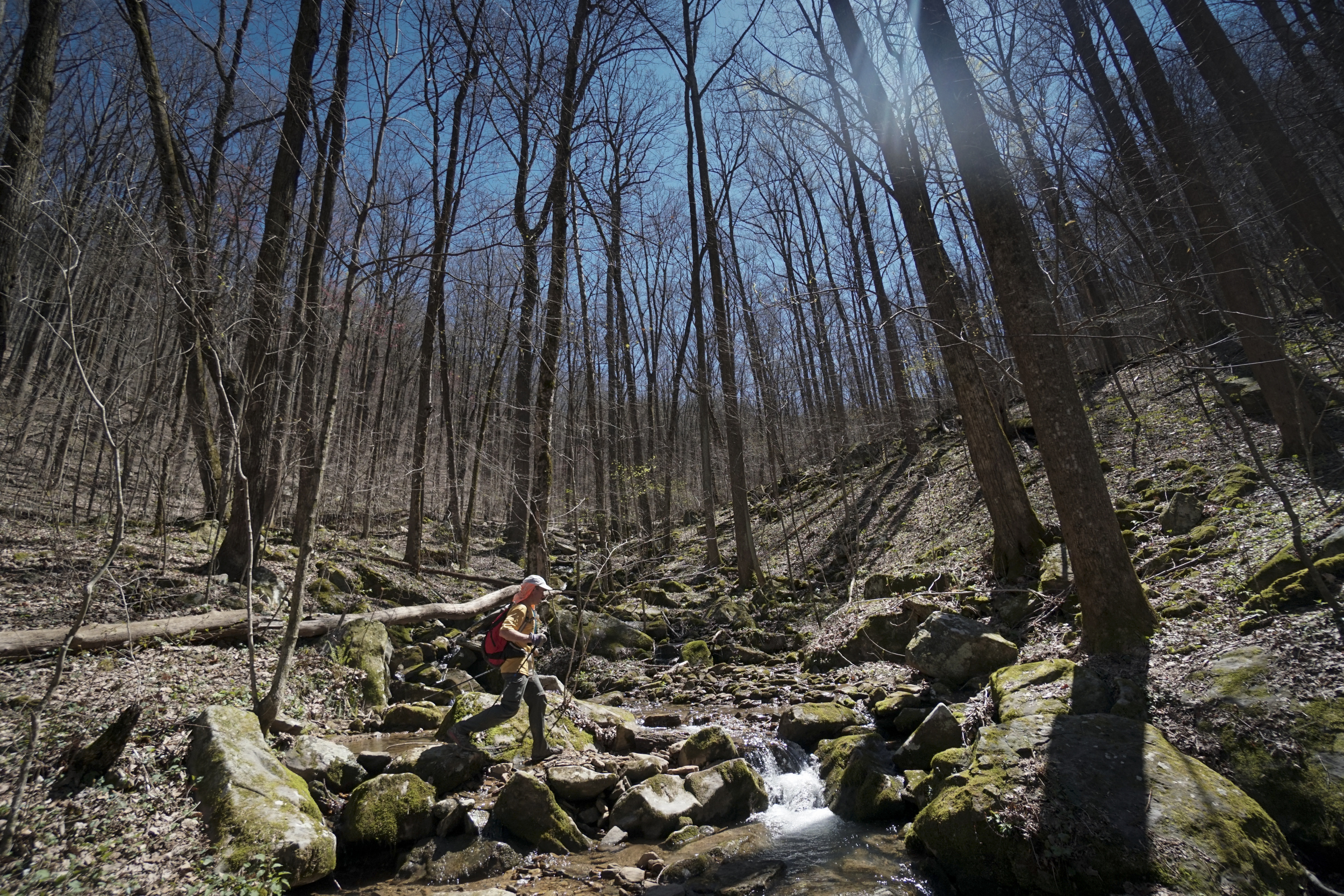 Staff Photo by Dan Henry / The Chattanooga Times Free Press- 4/3/16. Dale Holdaway, originally from Michigan currently living in Brazil, crosses Rocky Fork Branch while making his way up the Chimney Top Trail on his third loop during the 30th running of the Barkley Marathons at Frozen Head State Park in Warburg, Tenn., on April 3, 2016. This was Holdaway's fifth attempt and he missed the 40-hour