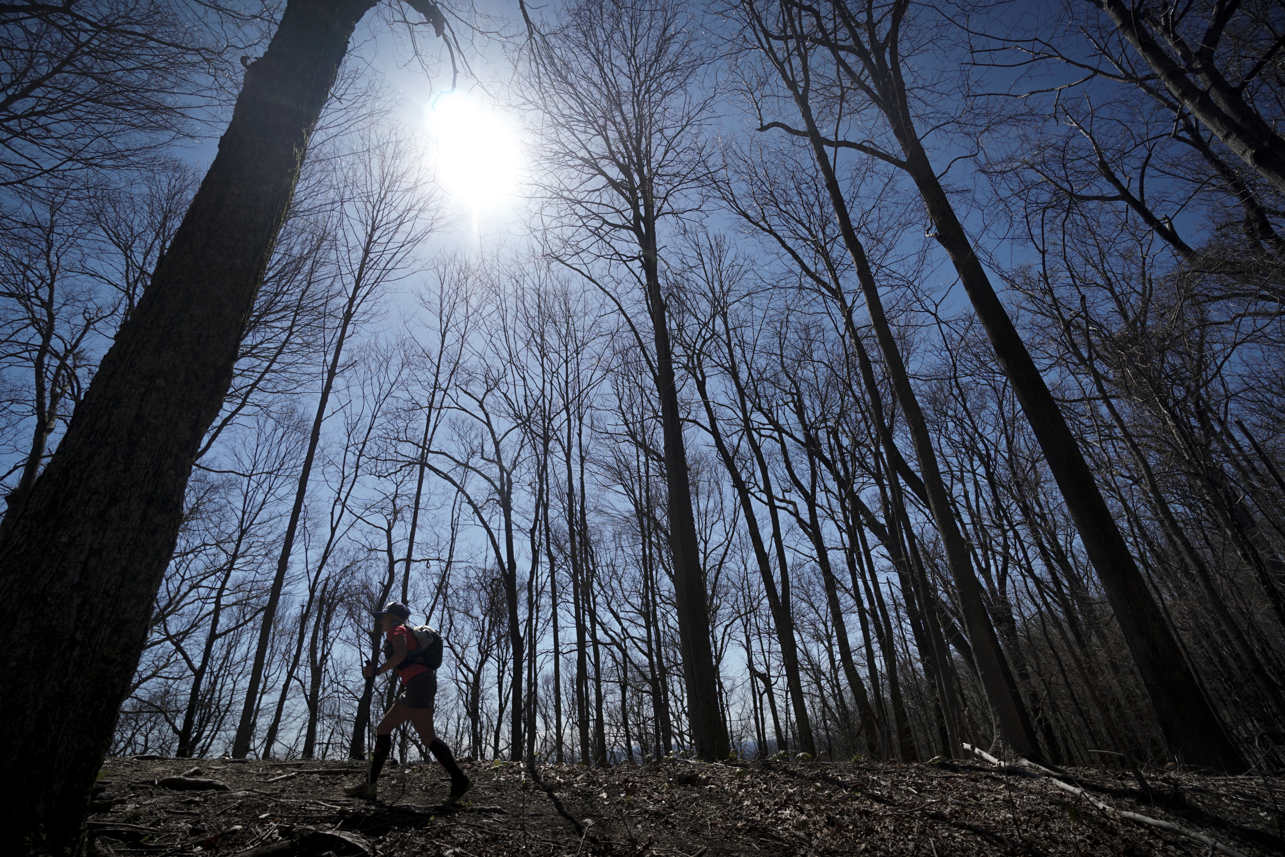 Staff Photo by Dan Henry / The Chattanooga Times Free Press- 4/3/16. Jennilyn Eaton from Salt Lake City makes her way up the Chimney Top Trail on her third loop during the 30th running of the Barkley Marathons at Frozen Head State Park in Warburg, Tenn., on April 3, 2016. Jennilyn was the only female to start a third loop at the 2016 Barkley. The Barkley Marathons is in its 30th year and consists of part orienteering and part ultra marathon where a select few attempt to complete five 20 mile loops within a 60-hour time limit where they search for hidden book caches deep in the woods throughout the park.