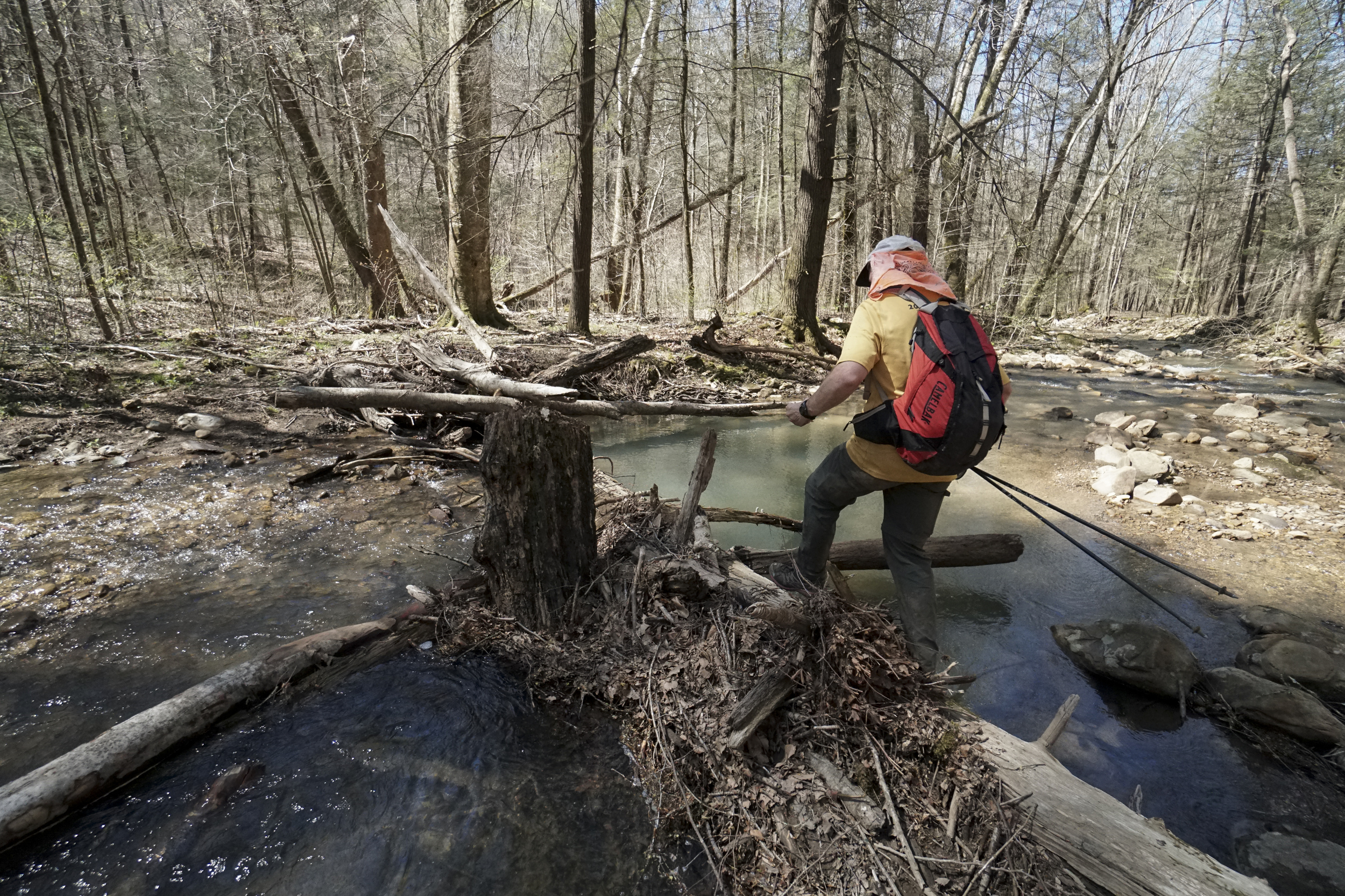 Staff Photo by Dan Henry / The Chattanooga Times Free Press- 4/3/16. Dale Holdaway, originally from Michigan currently living in Brazil, crosses Judge Branch on his third loop during the 30th running of the Barkley Marathons at Frozen Head State Park in Warburg, Tenn., on April 3, 2016. This was Holdaway's fifth attempt and he missed the 40-hour