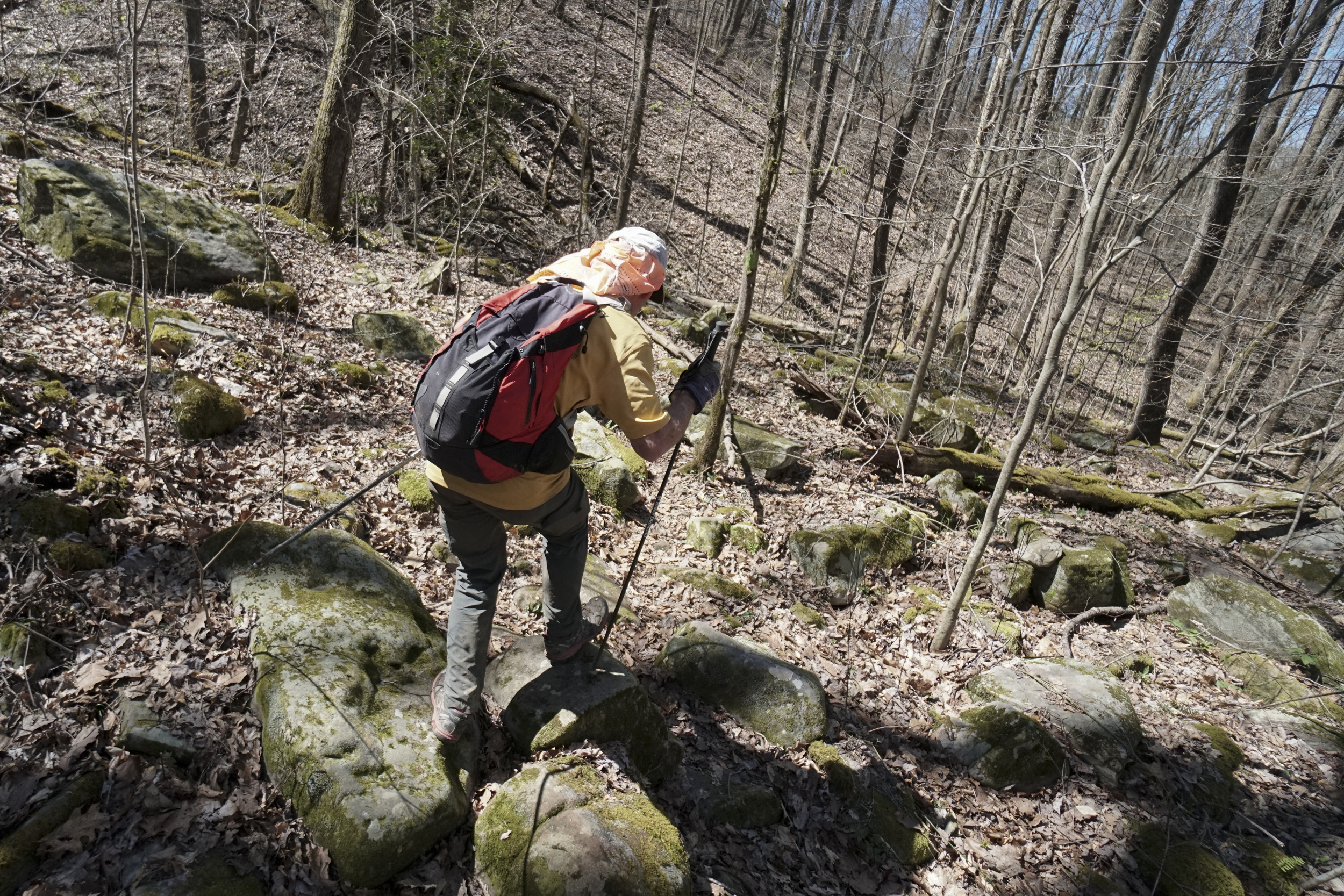 Staff Photo by Dan Henry / The Chattanooga Times Free Press- 4/3/16. Dale Holdaway, originally from Michigan currently living in Brazil, makes his way up the Chimney Top Trail on his third loop during the 30th running of the Barkley Marathons at Frozen Head State Park in Warburg, Tenn., on April 3, 2016. This was Holdaway's fifth attempt and he missed the 40-hour