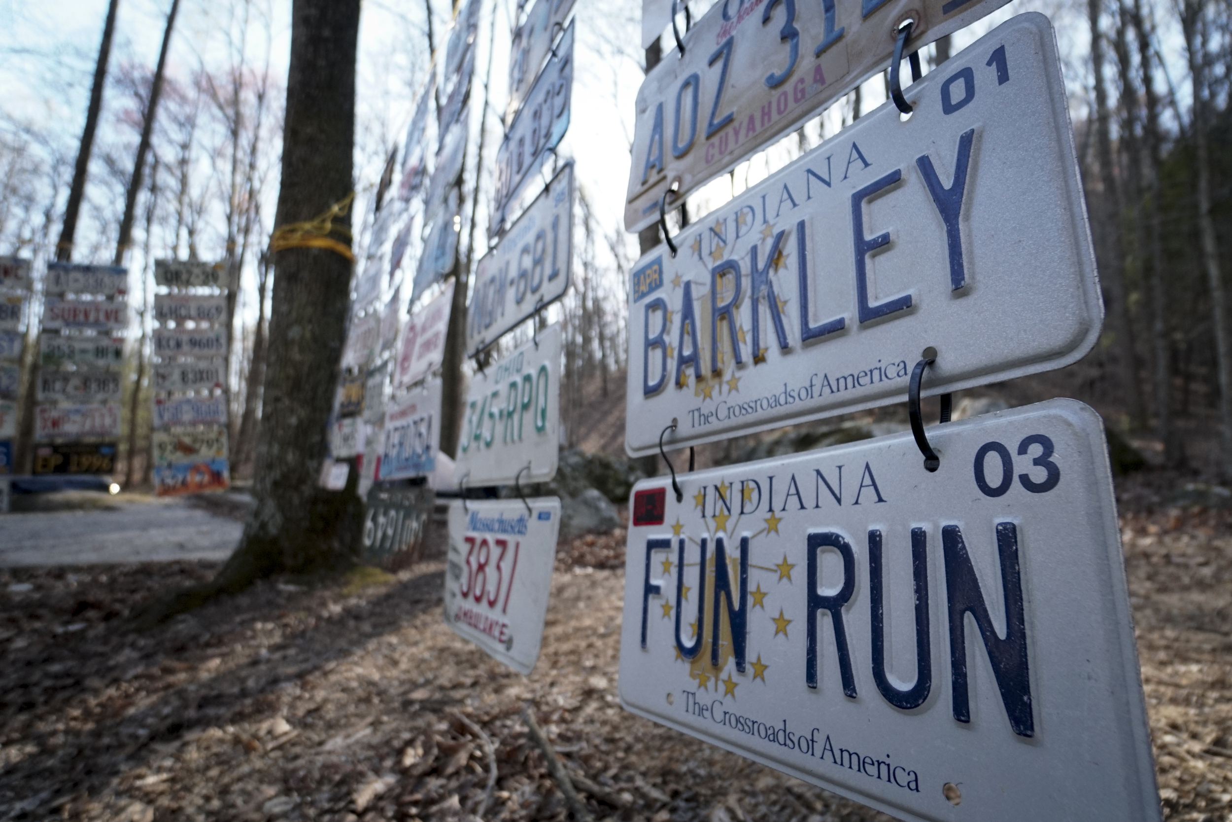 Staff Photo by Dan Henry / The Chattanooga Times Free Press- 4/4/16. License plates brought by participants line the race staging area during the 30th running of the Barkley Marathons at Frozen Head State Park in Warburg, Tenn., on April 3, 2016. The Barkley Marathons is part orienteering, part ultra marathon where a select few attempt to complete up to five 20 mile loops within a 60-hour time limit while searching for hidden book caches deep in the woods throughout the park.