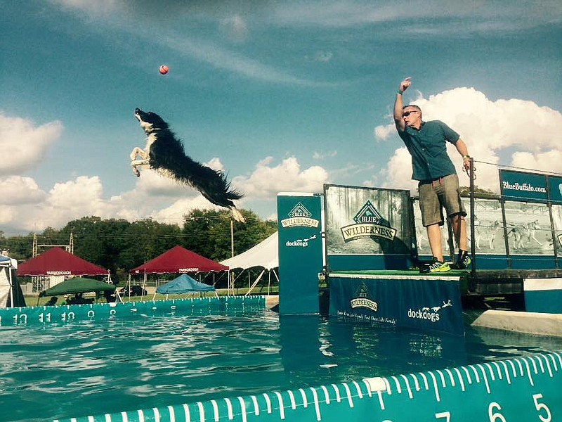 Human and canine members of Smoky Mountain DockDogs demonstrate the Big Air technique. A pool will be set up for competitions Saturday and Sunday, April 23-24, at the new location of Animal Emergency & Specialty Center on Lee Highway.