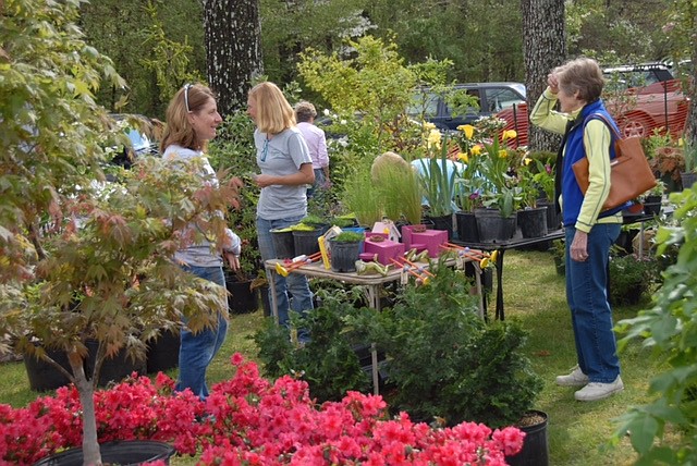 Attendees browse at the 2015 Garden and Art Expo at Bachman Community Center.