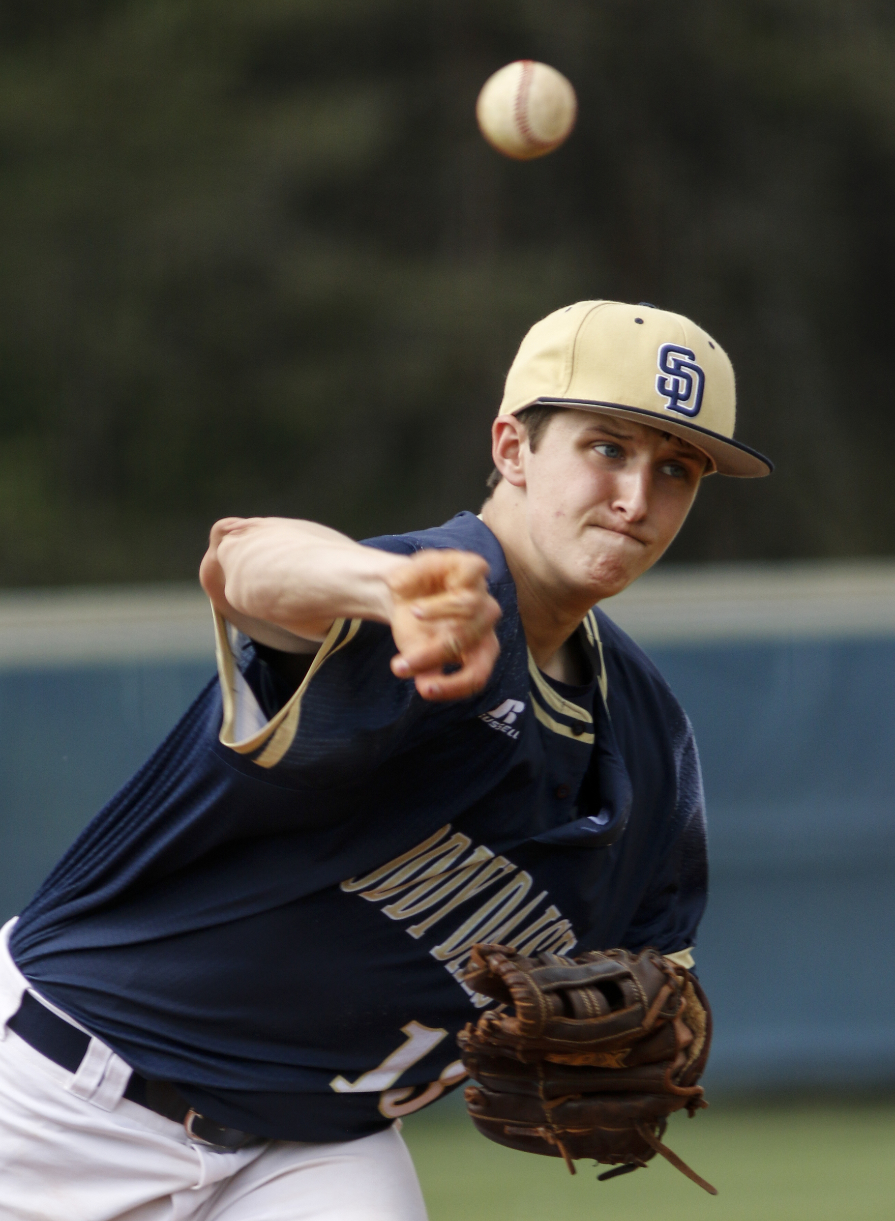 Soddy-Daisy player Logan Workman pitches during their prep baseball game against Rhea County at Soddy-Daisy High School on Thursday, April 21, 2016, in Soddy-Daisy, Tenn.