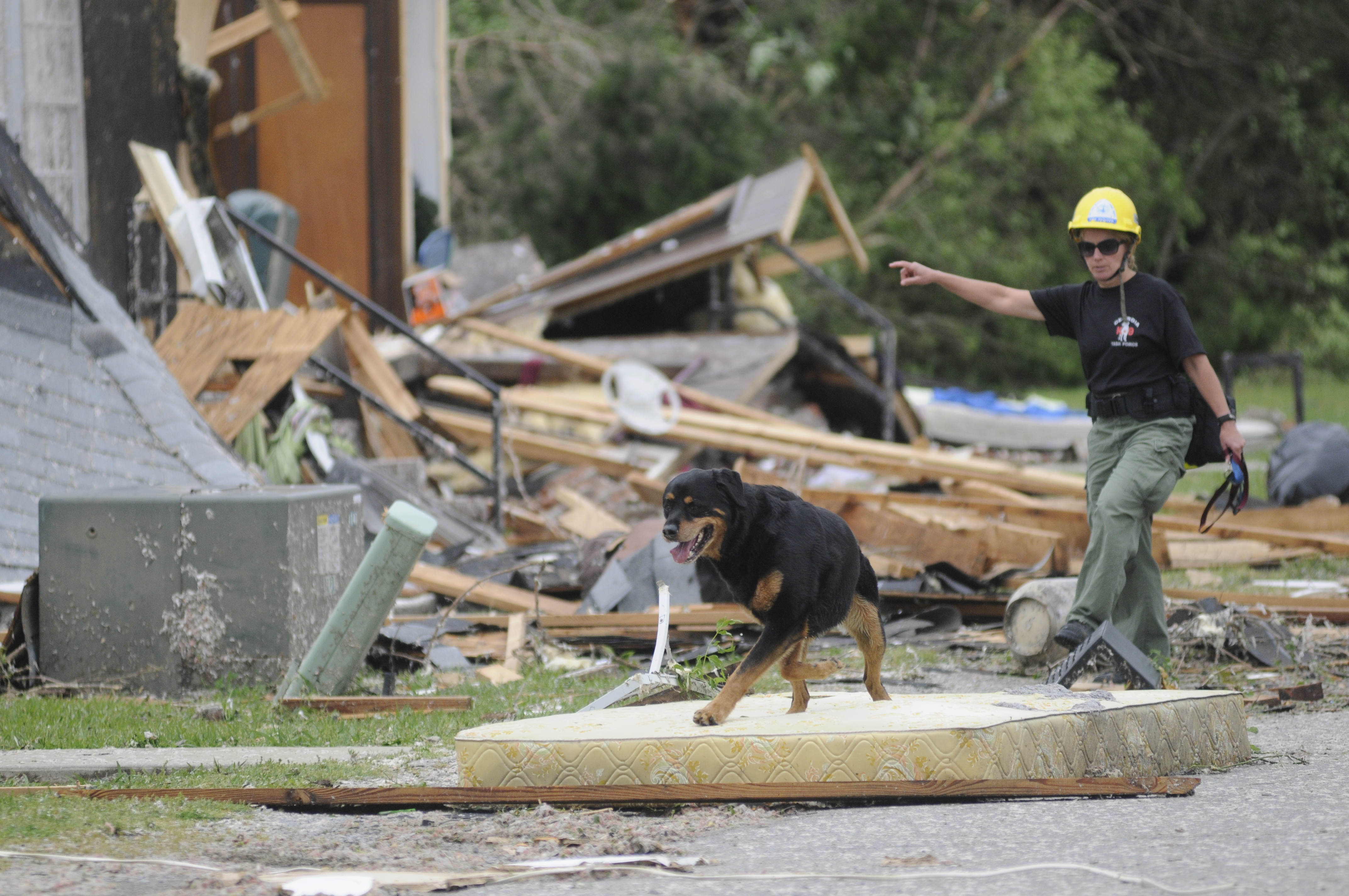 Teresa Christian takes Jake, a cadaver dog, through Village Green apartment complex on April 28, 2011 in Trenton, Ga., after three tornados touched down in Dade County.