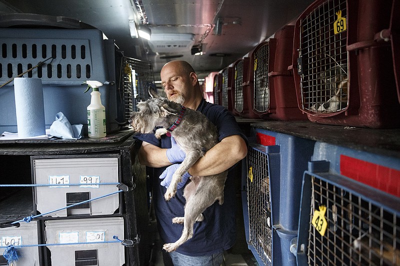 Michael Bailey with P.E.T.S. holds a dog as he cleans out its crate during a stopover at a gas station on Rossville Boulevard for gas and to pick up two new dogs from a rescue Thursday, April 14, 2016, in Chattanooga, Tenn. The company, which stands for Peterson Express Transport Service, transports dogs from shelters in the south to be adopted in New England.