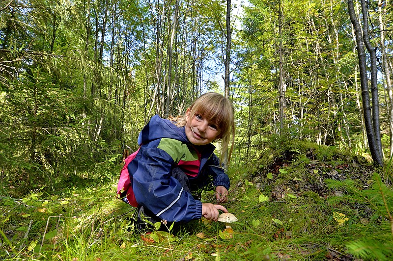 Adorable little girl hiking in the forest