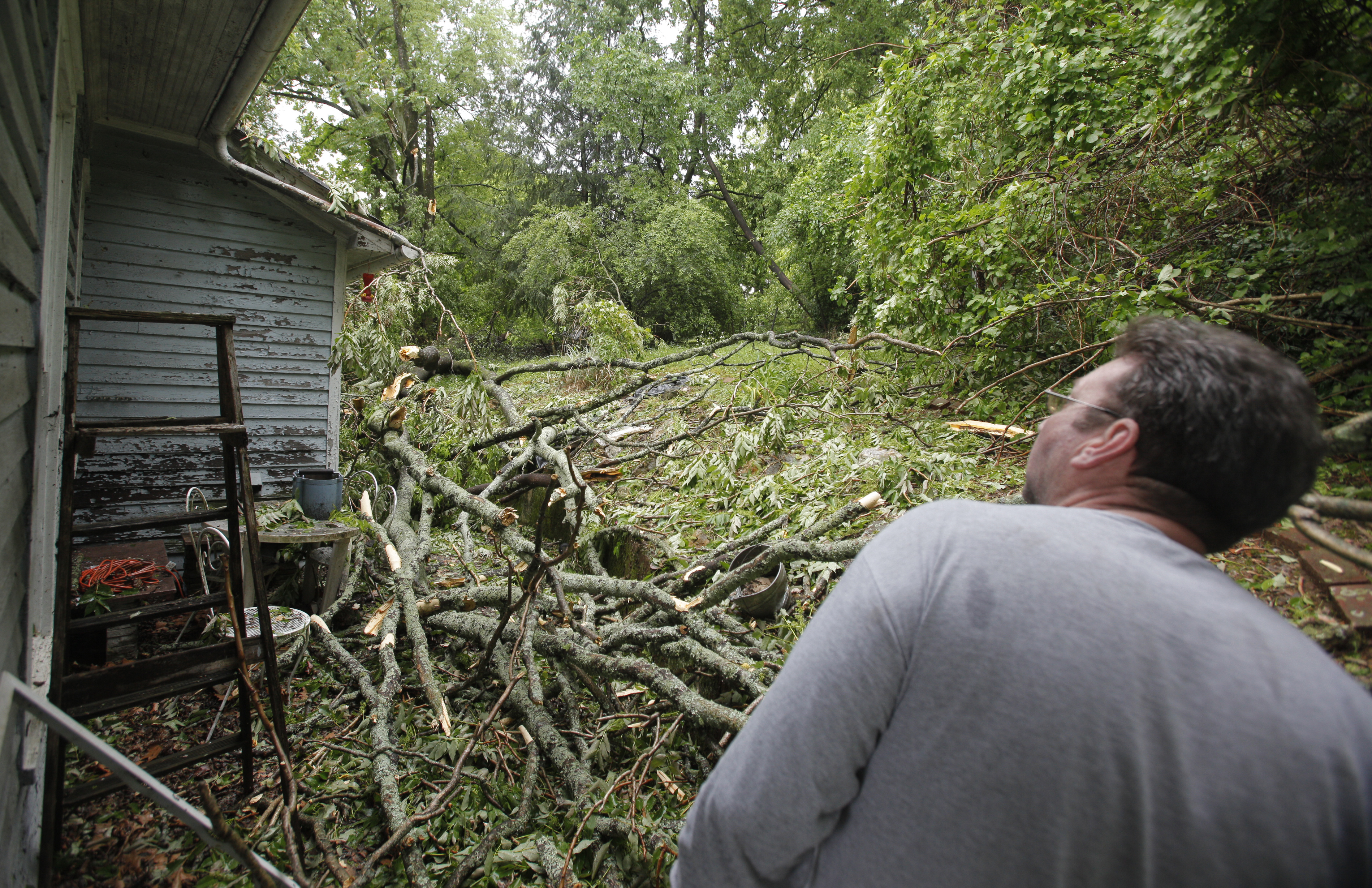 Frank Price {CQ} looks at the damage in his backyard. Trees were felled along Missionary Ridge and Main Street during Wednesday morning's storm.