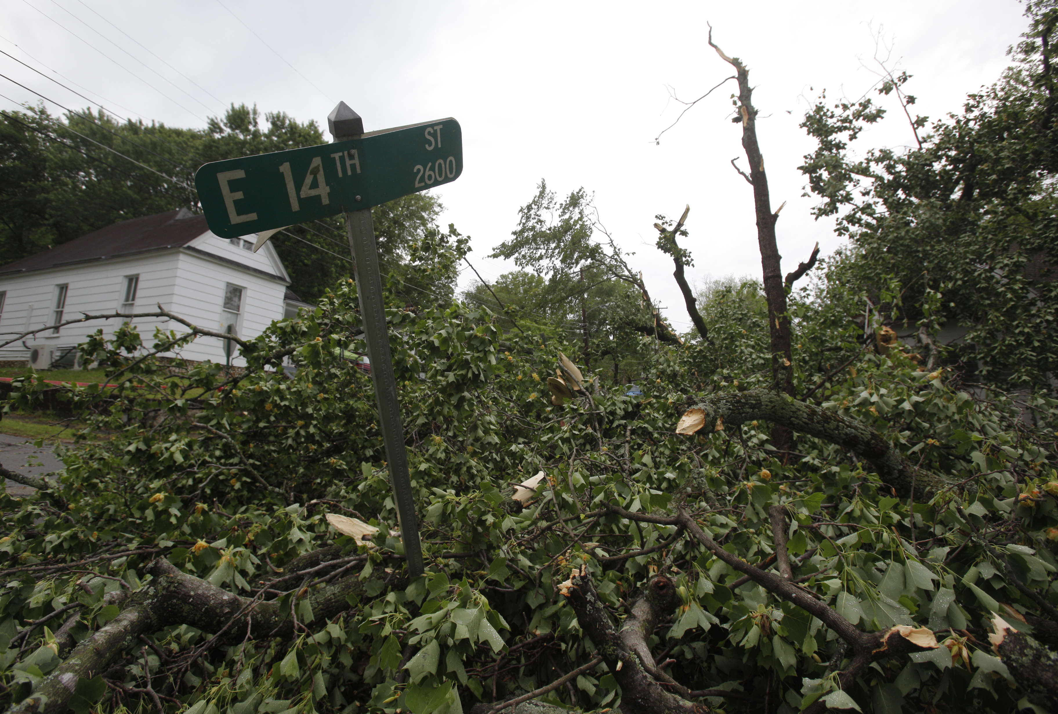 A street sign is bent over by a fallen tree. Trees were felled along Missionary Ridge and Main Street during Wednesday morning's storm.