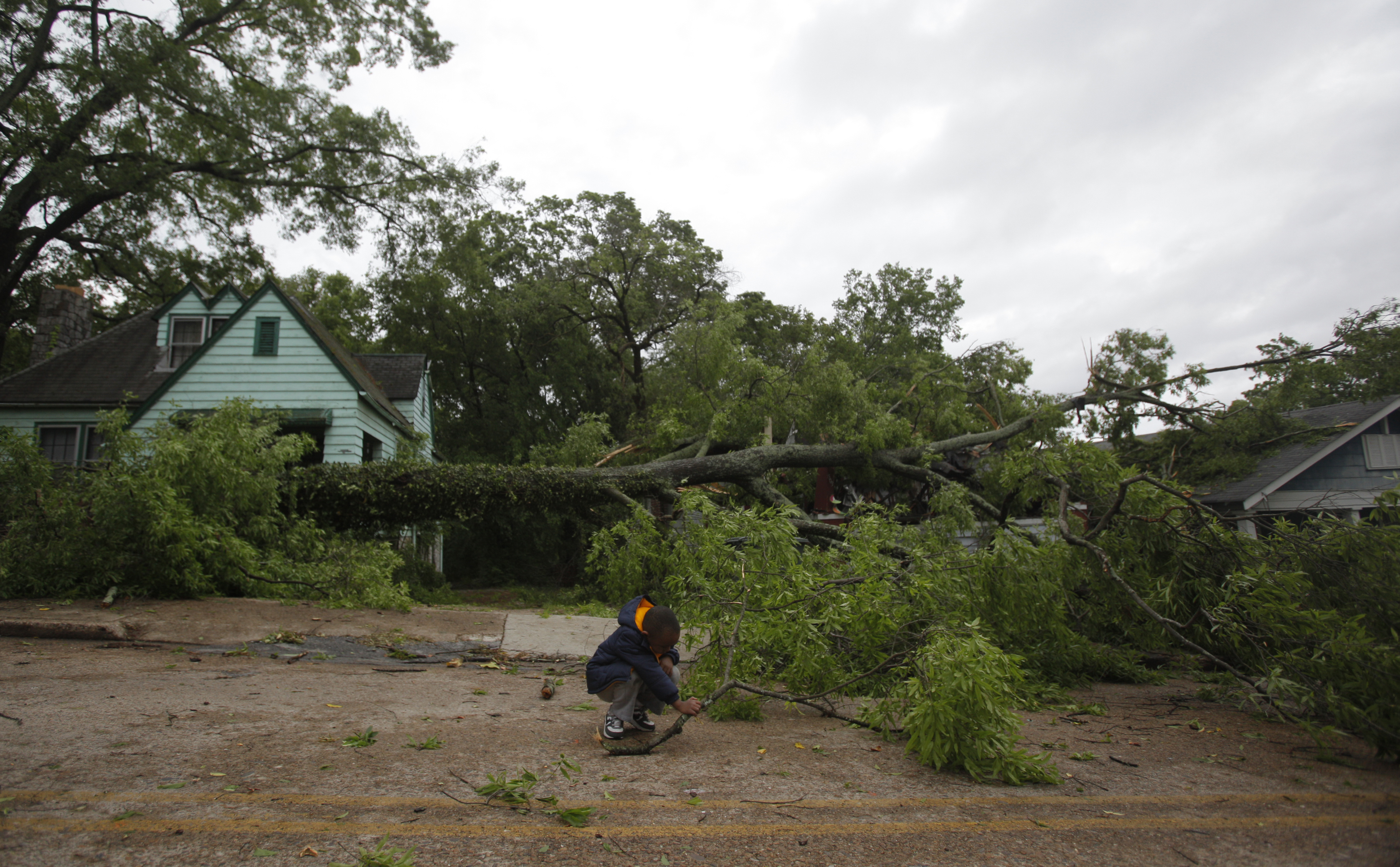 Jayden Green {CQ}, 4, tries to lift a branch from a fallen tree. Trees were felled along Missionary Ridge and Main Street during Wednesday morning's storm.